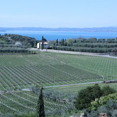 Wanderlust Oasi, Countryside *