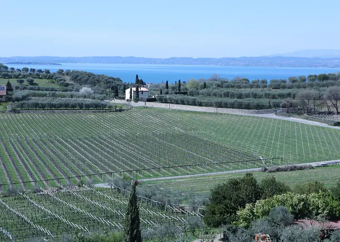 Wanderlust Oasi, Countryside *