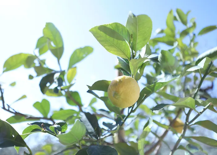 Wanderlust Oasi, Countryside * Bardolino