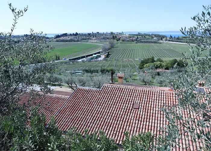 Wanderlust Oasi, Countryside